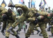 Mengenal 5 bela diri militer yang digunakan KOPASSUS, TNI dan POLRI