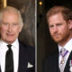 Raja Charles III Tidak Percaya Sama Sekali pada Pangeran Harry, Hubungan Kian Memburuk