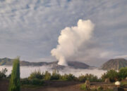 Berapa Biaya yang Dihabiskan Masuk ke Wisata Gunung Bromo dari Malang?