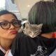 Bak Keluarga Besar, Nirina Zubir Pelihara 24 Kucing di Rumah