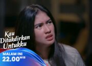 Rencana Gagal Tania dan Perhitungan Wildan Pada Alya