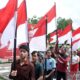 Jangan kibarkan One Peace, ini aturan dan etika pengibaran Merah Putih