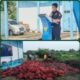Bawang Merah Hasil Tangkapan di Musnahkan Bea Cukai Dumai Dengan Cara di Kubur